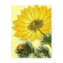 Beautiful Yellow flower mothers day Postcard