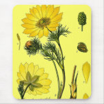 Beautiful Yellow flower Mousepad