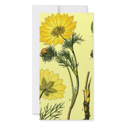 Beautiful Yellow flower Customized Photo Card by ellesgreetings