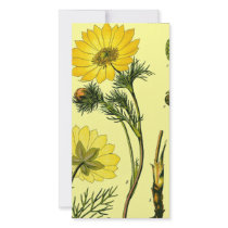 Beautiful Yellow flower Customized Photo Card