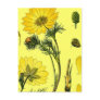 Beautiful Yellow flower Post Cards