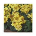 beautiful yellow flowers refrigerator magnet