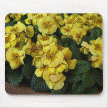 beautiful yellow flowers mouse mats
