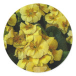 Beautiful yellow flowers stickers