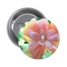Beautiful Yellow, Orange & Pink Hibiscus Flower