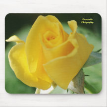 Beautiful yellow Rose bud Mouse Pad