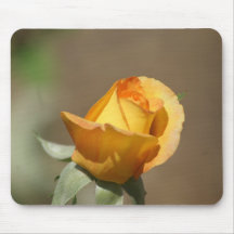 Beautiful Yellow Rose Bud Mousepads