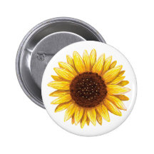 Beautiful yellow sunflower drawing button
