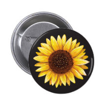 Beautiful yellow sunflower drawing button