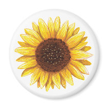 Beautiful yellow sunflower drawing fridge magnet