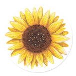 Beautiful yellow sunflower drawing stickers