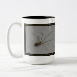 Beautifully Scary: Daddy Long Leg Spider Mugs