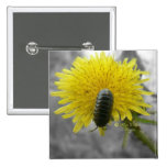 Beautifully Scary: Rolie Polie Flower Button