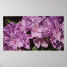 Beauty and the Bee Print