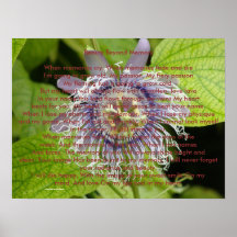 Beauty Beyond Memory Poster