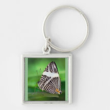 Beauty Butterfly Keychain