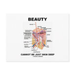 Beauty Cannot Be Just Skin Deep (Skin Layers) Postcards