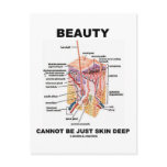 Beauty Cannot Be Just Skin Deep (Skin Layers) Post Cards