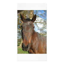 Beauty Cards Personalized Photo Card