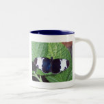 Beauty Coffee Mug