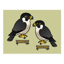 Beauty & Dot.Ca Postcards