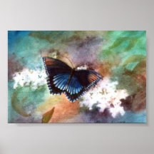 Beauty II Butterfly Poster