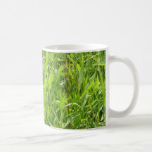 'Beauty in a Blade of Grass' photo mug
