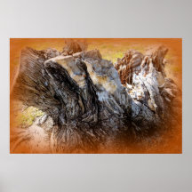 Beauty in Decay Print