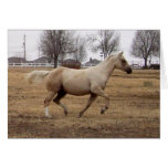 Beauty in Motion - Customizable Card