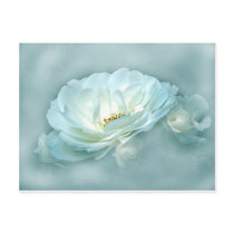 beauty in the mist blue postcards
