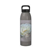 BEAUTY IN THE MIST - SILVER DRINKING BOTTLES