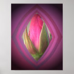 Beauty in the Shadows Print
