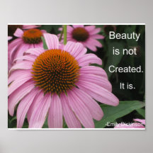 Beauty Is... Poster