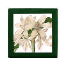 Beauty Keepsake Boxes
