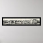 Beauty Parade Seal Bch Photo 1917 Posters