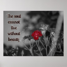 Beauty Rose Poster