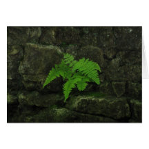 Beauty Survives Greeting Card