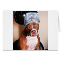 Beauty treatment cards