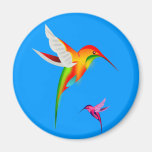 Beaux colibris (Colibri) Aimant Pour Réfrigérateur