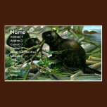 Beaver Business Card business cards