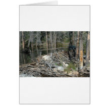 Beaver Dam Greeting Card