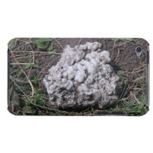Beaver Dam Slough Geology Rock Earth History Stone iPod Case-Mate Cases