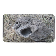 Beaver Dam Slough Geology Rock Earth History Stone iPod Case-Mate Cases
