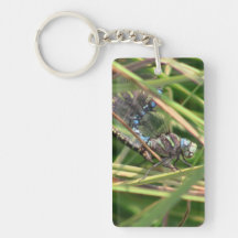 Beaver Dam Slough ID Insects Arachnids Bugs Fauna Acrylic Keychains