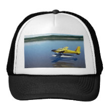 Beaver, landing on river hats