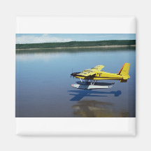 Beaver, landing on river magnets