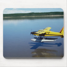 Beaver, landing on river mousepad