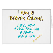 beaver leader turquoise card