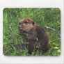 Beaver Mousepad