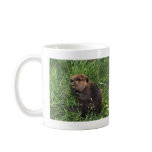 Beaver Coffee Mug